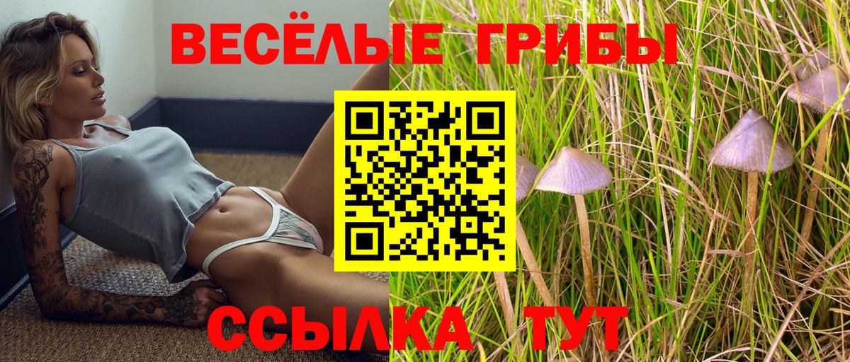 Псилоцибиновые грибы GOLDEN TEACHER  Вход с VPN  Псилоцибиновые грибы Cubensis  Тула 